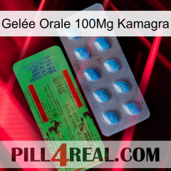 Gelée Orale 100Mg Kamagra new03
